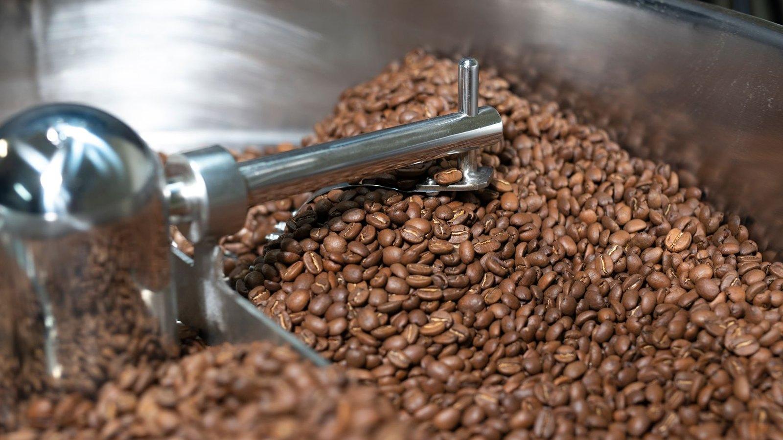 Freshly roasted coffee beans tumbling in the stainless-steel cooling tray of a roasting machine